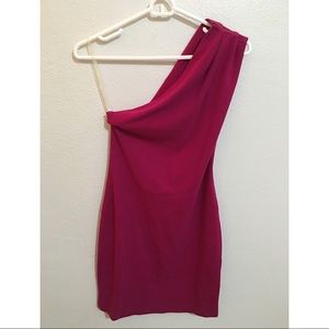 American Apparel Fuschia Dress